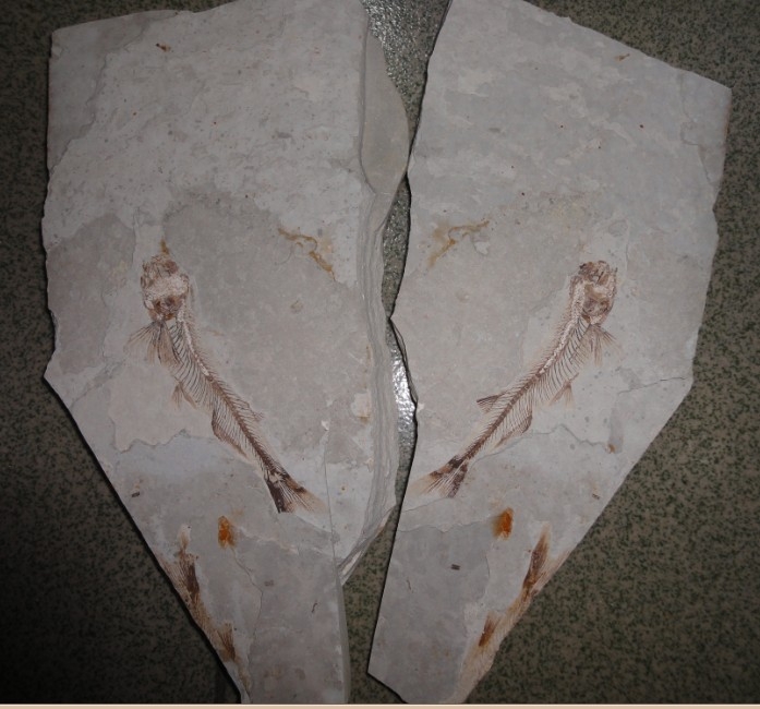 ����7.jpg