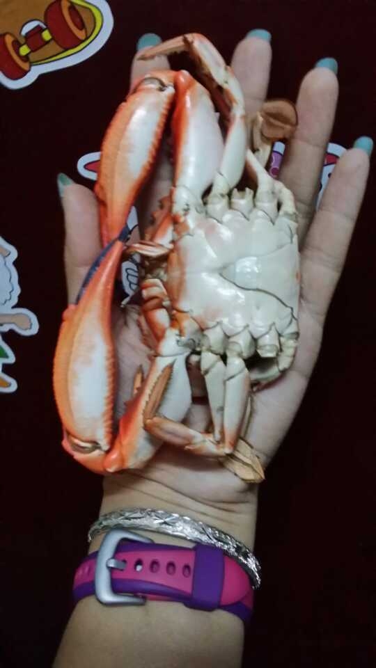��з  25/ֻ